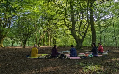 Why Do Yoga and Reiki in Nature?