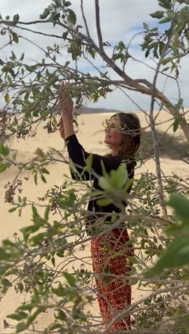 WhatsApp-Image-2025-11-09-at-11.55.52