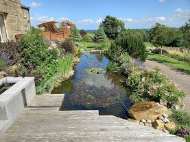 IMG_4013